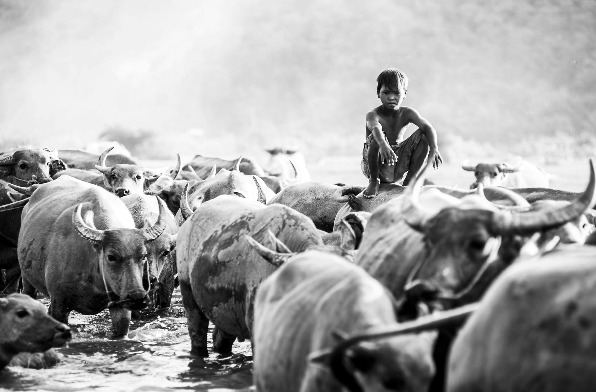 A scene from Vietnam (Image via Pexels)